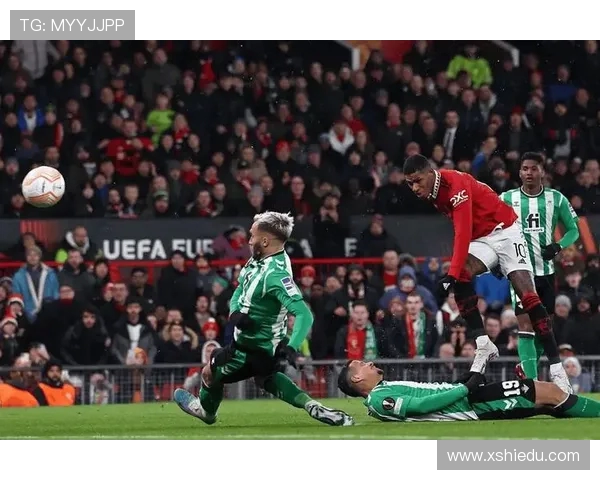 威尔士与爱尔兰精彩对决集锦回顾球迷必看瞬间与精彩进球分析